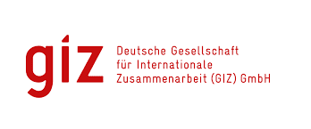 Giz - 308x308